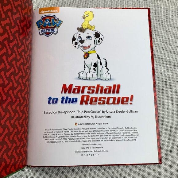 Marshall to the Rescue! (Paw Patrol) - Picture 4 of 5